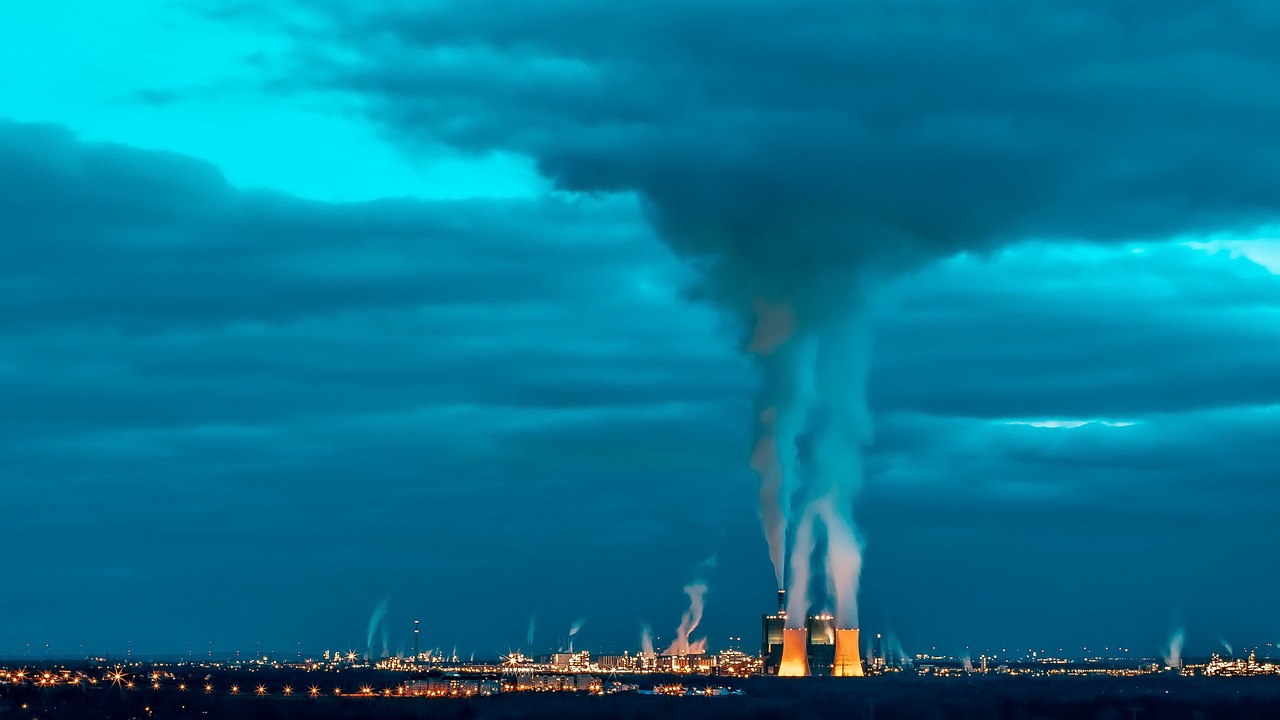 The Role of AI in Future Environmental Conservation